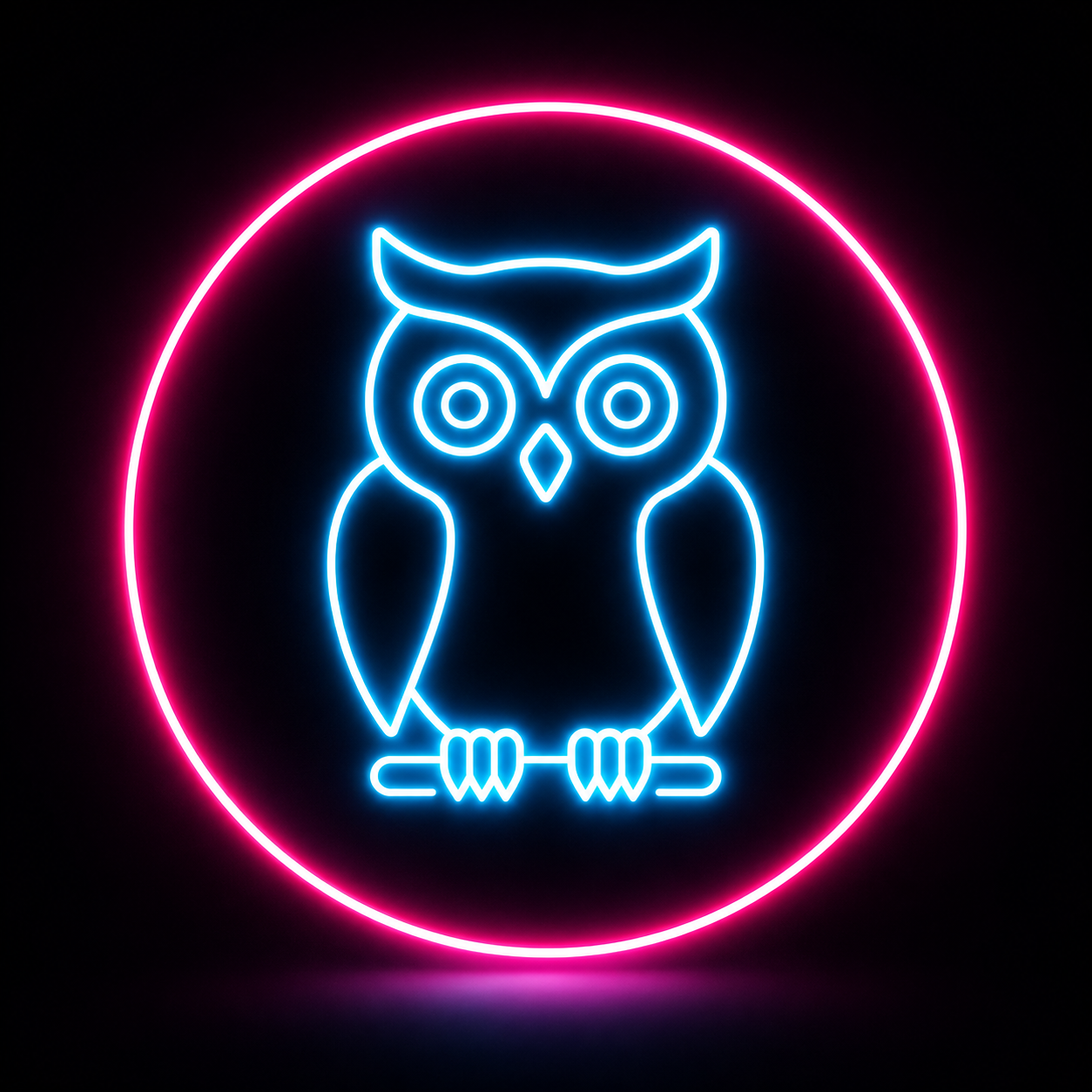 OWL Wealth Planner